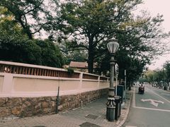 -八大关景区