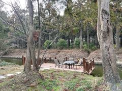 -东平国家森林公园