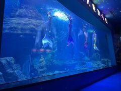 -多彩贵州城极地海洋世界