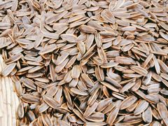 焦糖瓜子-优农果园(苹果园店)