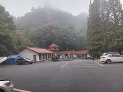 -缙云山景区