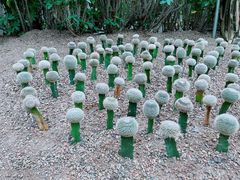 -南山植物园