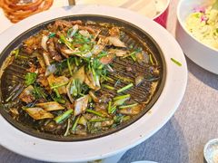 -秀儿四九城·新京菜(亚运村鸟巢店)