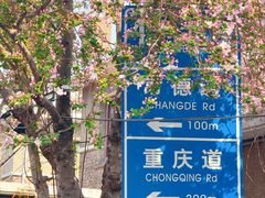 -天津五大道文化旅游区