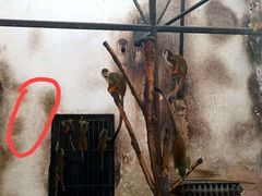 -石家庄市动物园