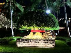 -海南清水湾莱佛士酒店