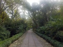 -法云古村