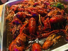 -红牌美蛙鱼头火锅(万辉国际广场店)