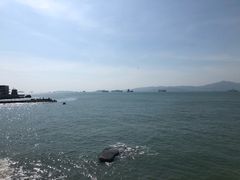 -八婆婆烧仙草(曾厝垵店)