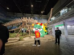 -自贡恐龙博物馆