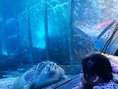 -太平洋海底世界