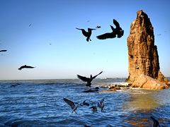 -海驴岛(荣成市)