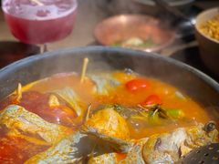酸汤鱼-毛辣果·酸