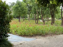 -嘉北郊野公园