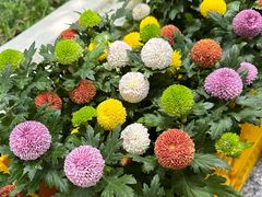 -中国海诚工程科技股份有限公司(宝庆路)