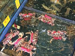 -新梅园不夜粥(龙华店)