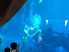 -海棠湾洲际-涛·海底餐厅·美人鱼·自助餐·海底隧道