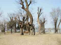 -南通洲际绿博园