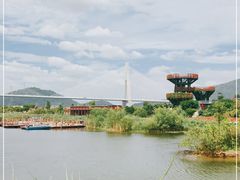 -芒洲湿地公园