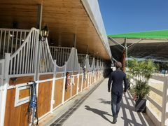 -名驭国际马术学院