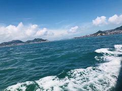 -枸杞岛