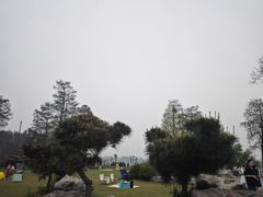 -东湖落雁景区