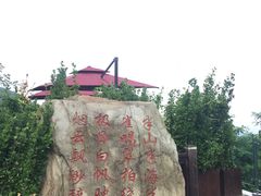 -怪坡茶馆
