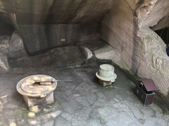 -蛇蟠岛