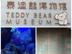 -成都泰迪熊博物馆