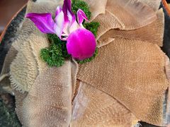 -禄合門美蛙火锅(新街口旗舰店)