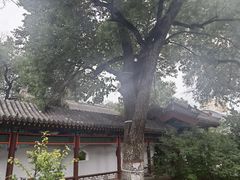 -内蒙古将军衙署博物院
