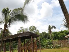 -海南热带野生动植物园