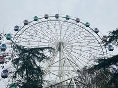-塔子山公园