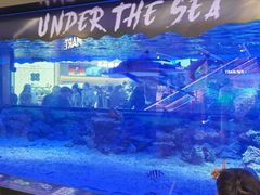 -凯德广场(学府店)