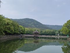 -旺山景区