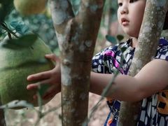 -西双版纳原始森林公园