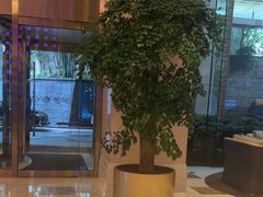 -长沙运达喜来登酒店