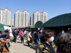 -何庄子阿米玛玛农产品批发市场