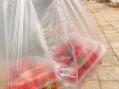 -大自然农场蔬菜草莓采摘园