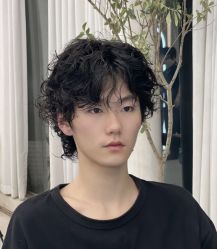 -YESIDO椰岛造型