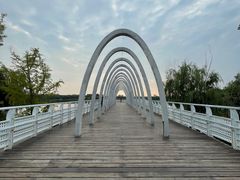 -大兴滨河森林公园