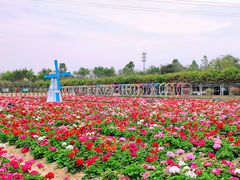 -盈香心动乐园