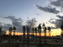 -台场海滨公园船码头