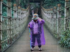 -凤栖山