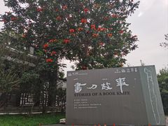 -海珠湖公园