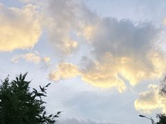 -大理床单厂艺术区