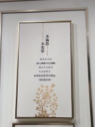 -镁连社·美联社
