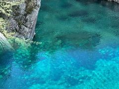 -石台牯牛降景区