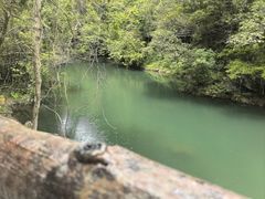 -石台牯牛降景区