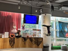 -苏菲艺术教育 | 芭蕾·钢琴(南山书城校区)